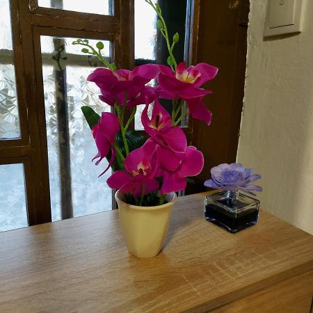 Lovely, Neat And Quite Apartment Dalia, Private Parking SJJ Exteriér fotografie