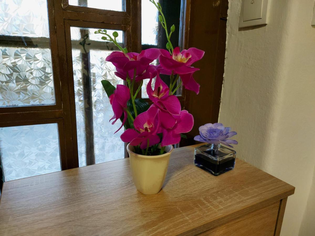 Lovely, Neat And Quite Apartment Dalia, Private Parking SJJ Exteriér fotografie